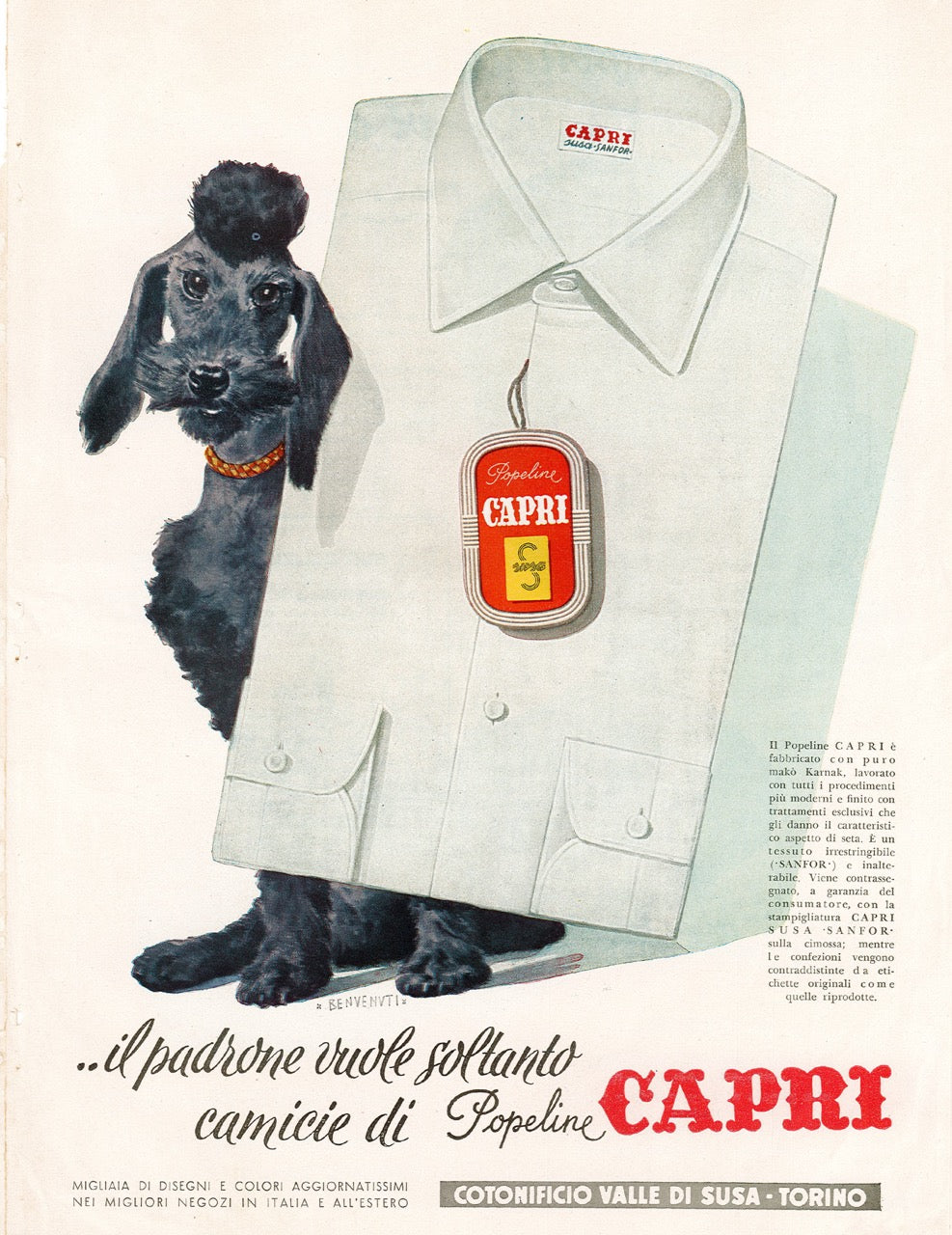 FROM THE ARCHIVE 11