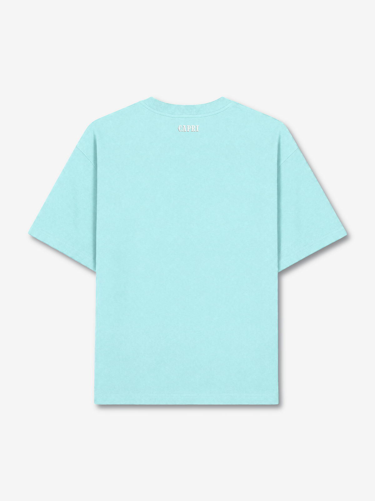 Capri Dive Logo Tee back view - unisex t-shirt by Capri®